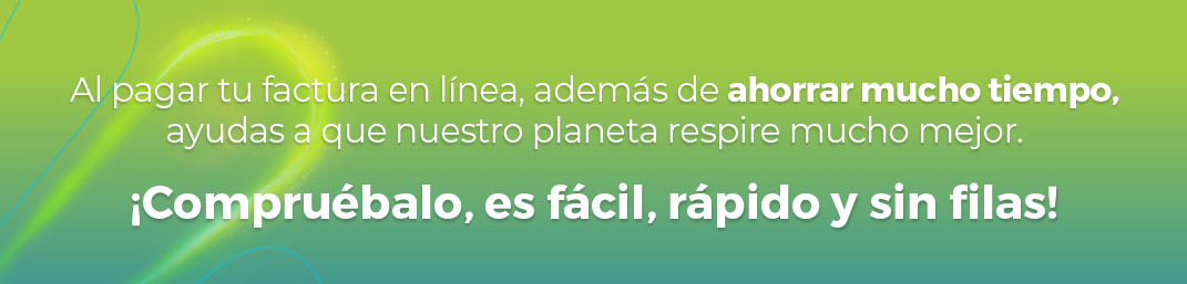 Pagar factura Afinia en línea - Portal de pagos de energía